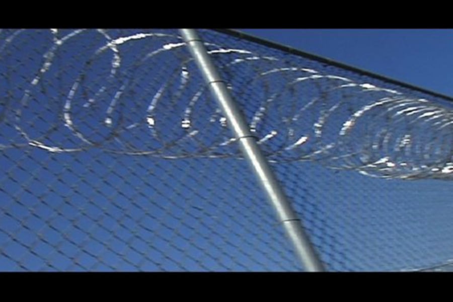 LIFE Program University